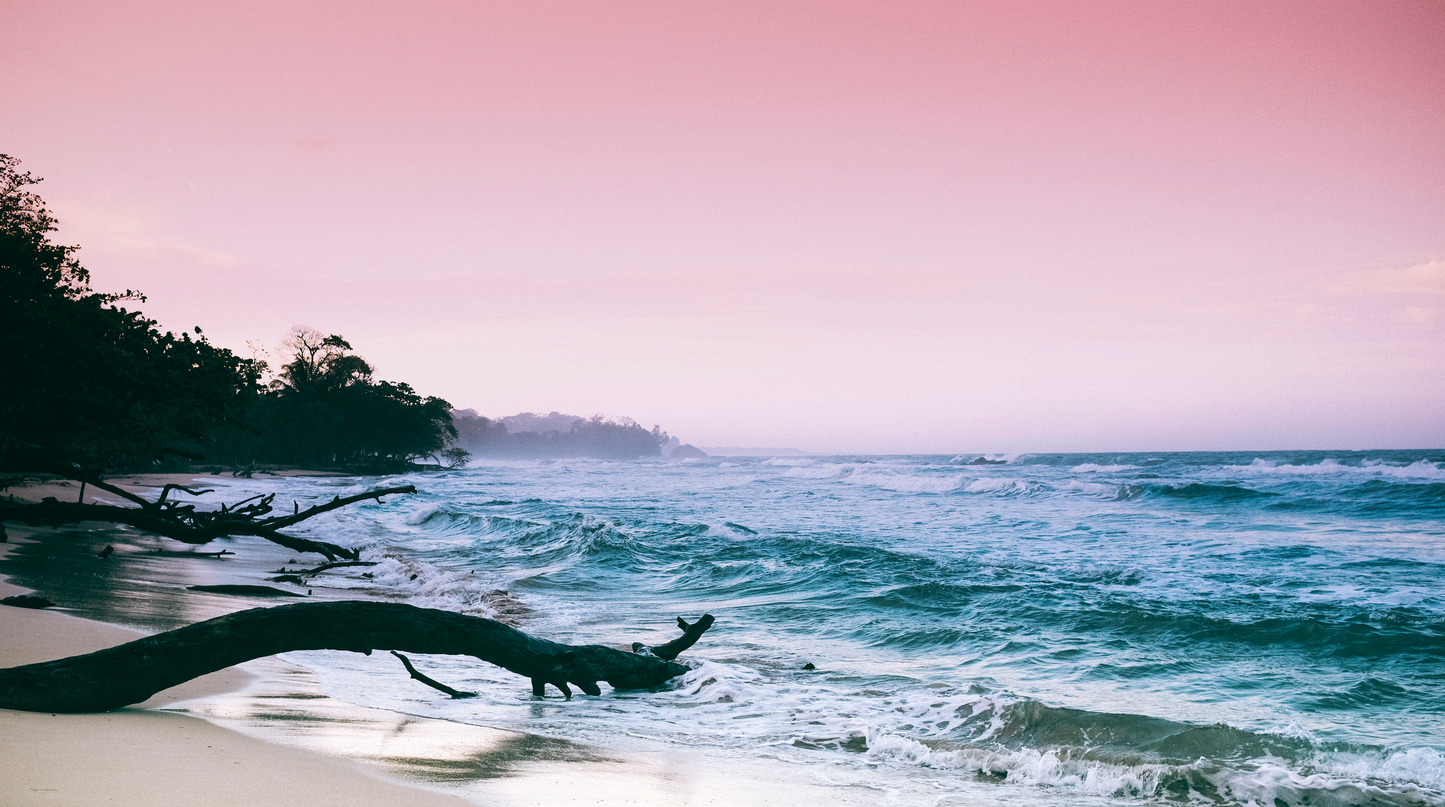 Unberührte Lebendigkeit