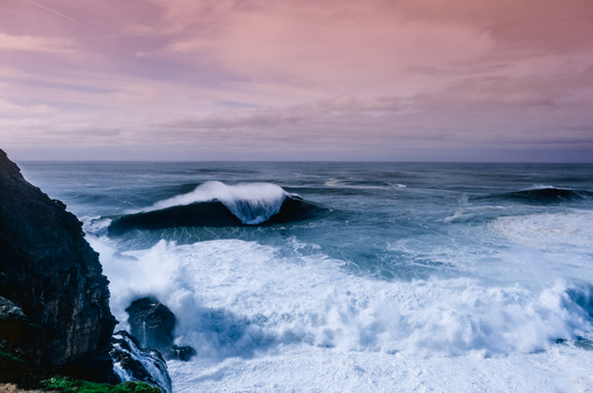 Die Welle des Lebens