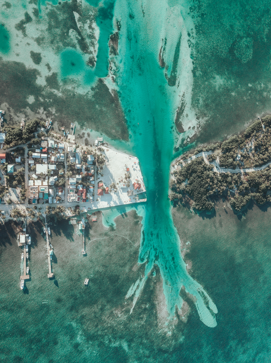 Die Zunge des Ozeans